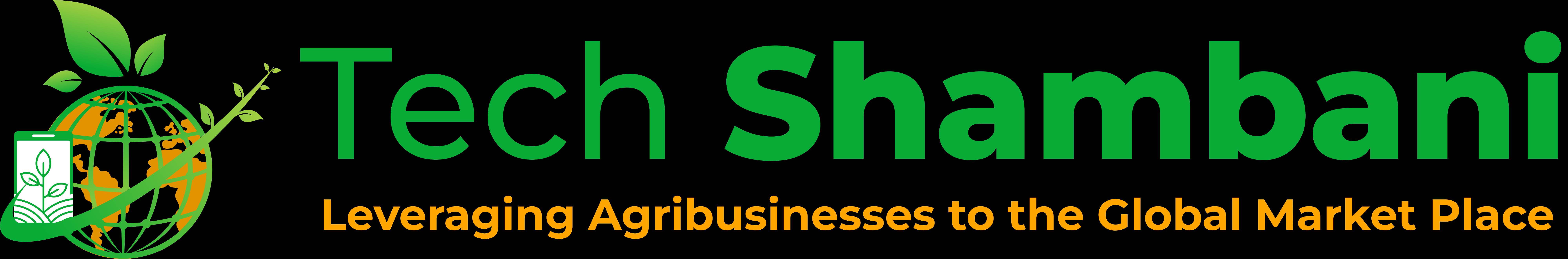 TechShambani Logo